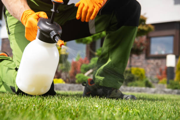 Best Best Pest Control Companies  in Rden, WA