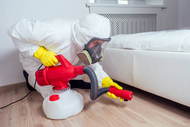 Reliable Warden, WA Pest Control Solutions